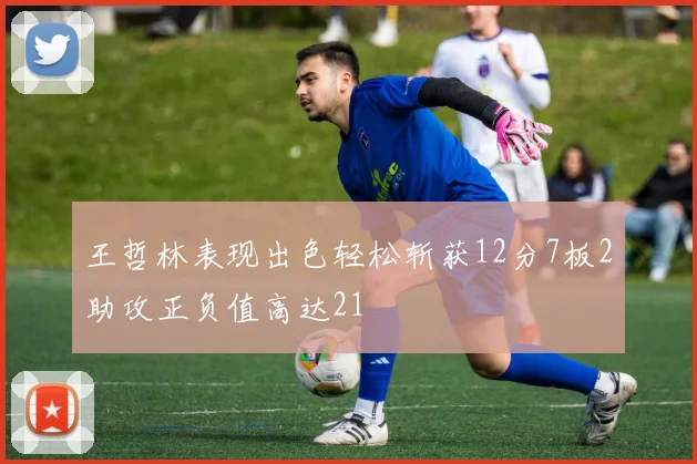 王哲林表现出色轻松斩获12分7板2助攻正负值高达21