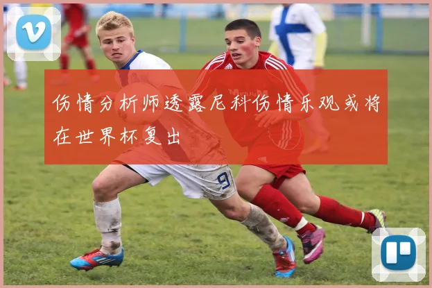 伤情分析师透露尼科伤情乐观或将在世界杯复出