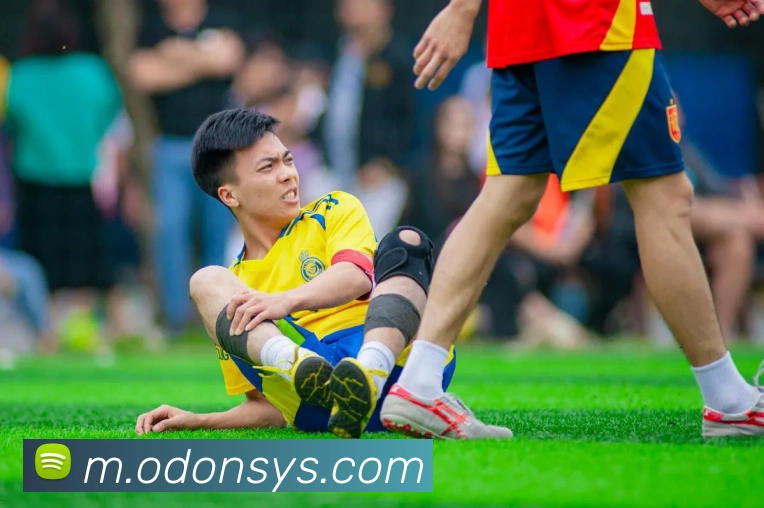 KAIYUNSPORTS官网平台生态图